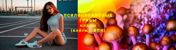 экстази Богданович