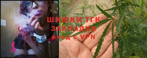 mix Богородск