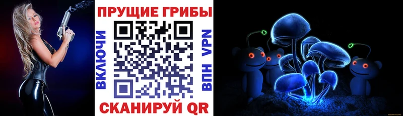 Купить закладки  Муравленко  Галлюциногенные грибы MAGIC MUSHROOMS 
